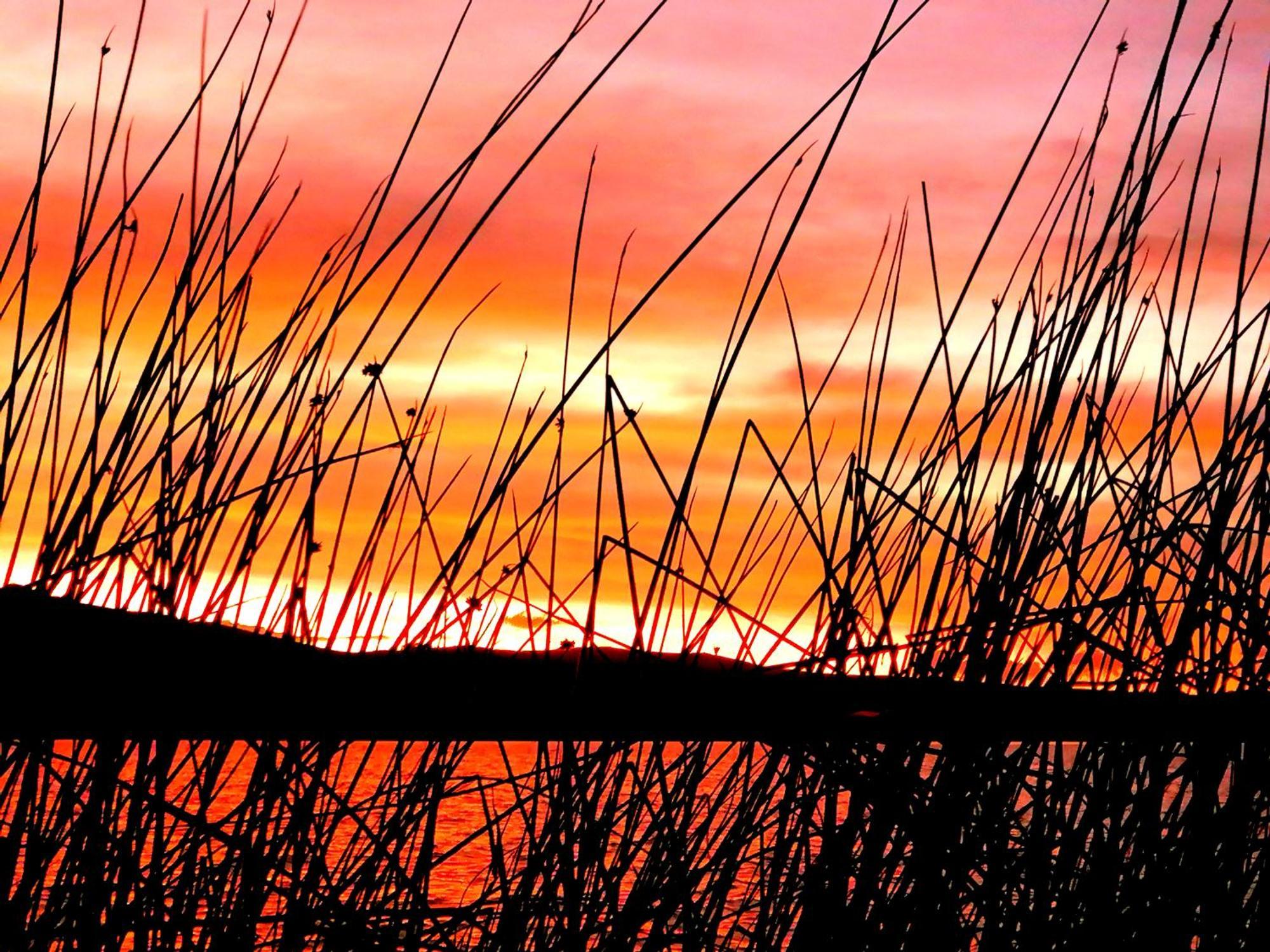 Uros Waliski Lodge Puno Oda fotoğraf