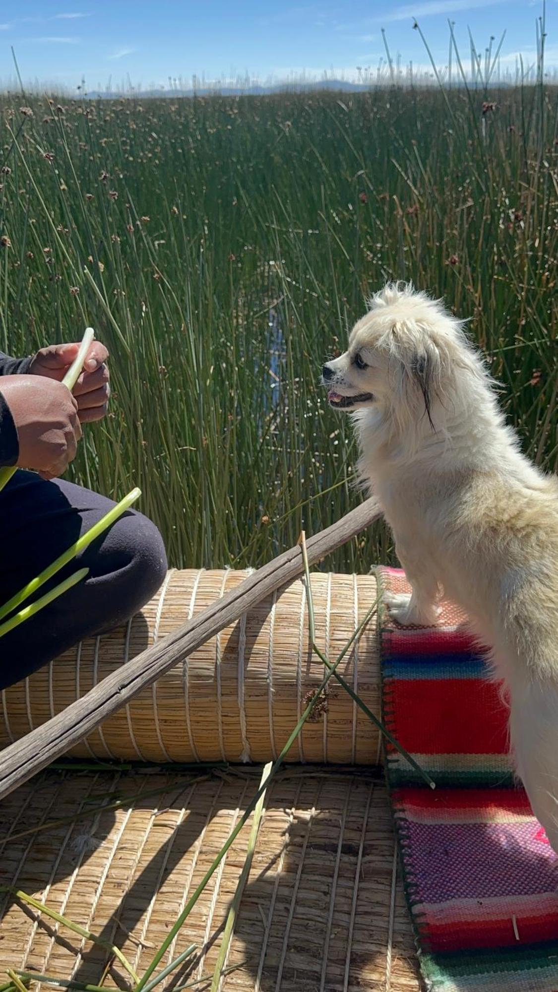 Uros Waliski Lodge Puno Dış mekan fotoğraf
